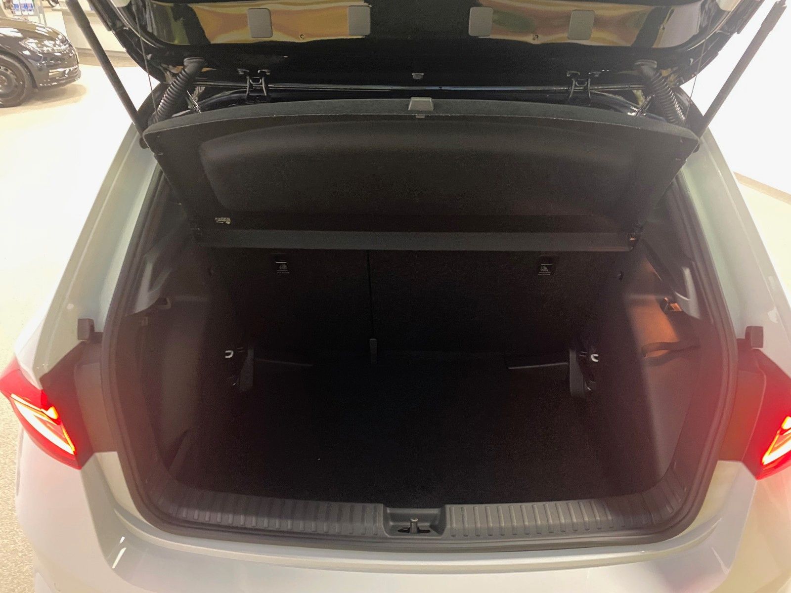 Fahrzeugabbildung SKODA Fabia 1.0 TSI DSG Monte Carlo+KAMERA+AppCon+PDC+