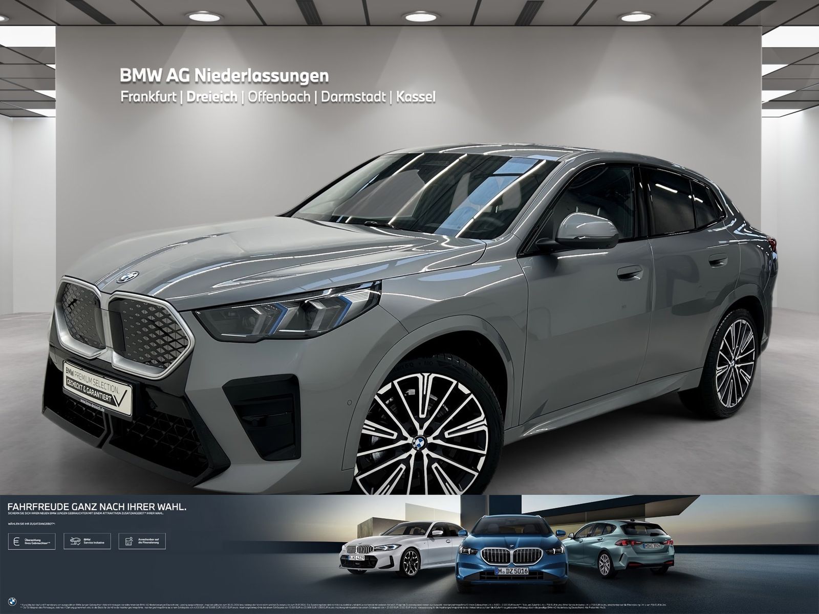 BMW iX2 xDrive30 M Sport AHK Driv.Assist.Prof LED foto 1