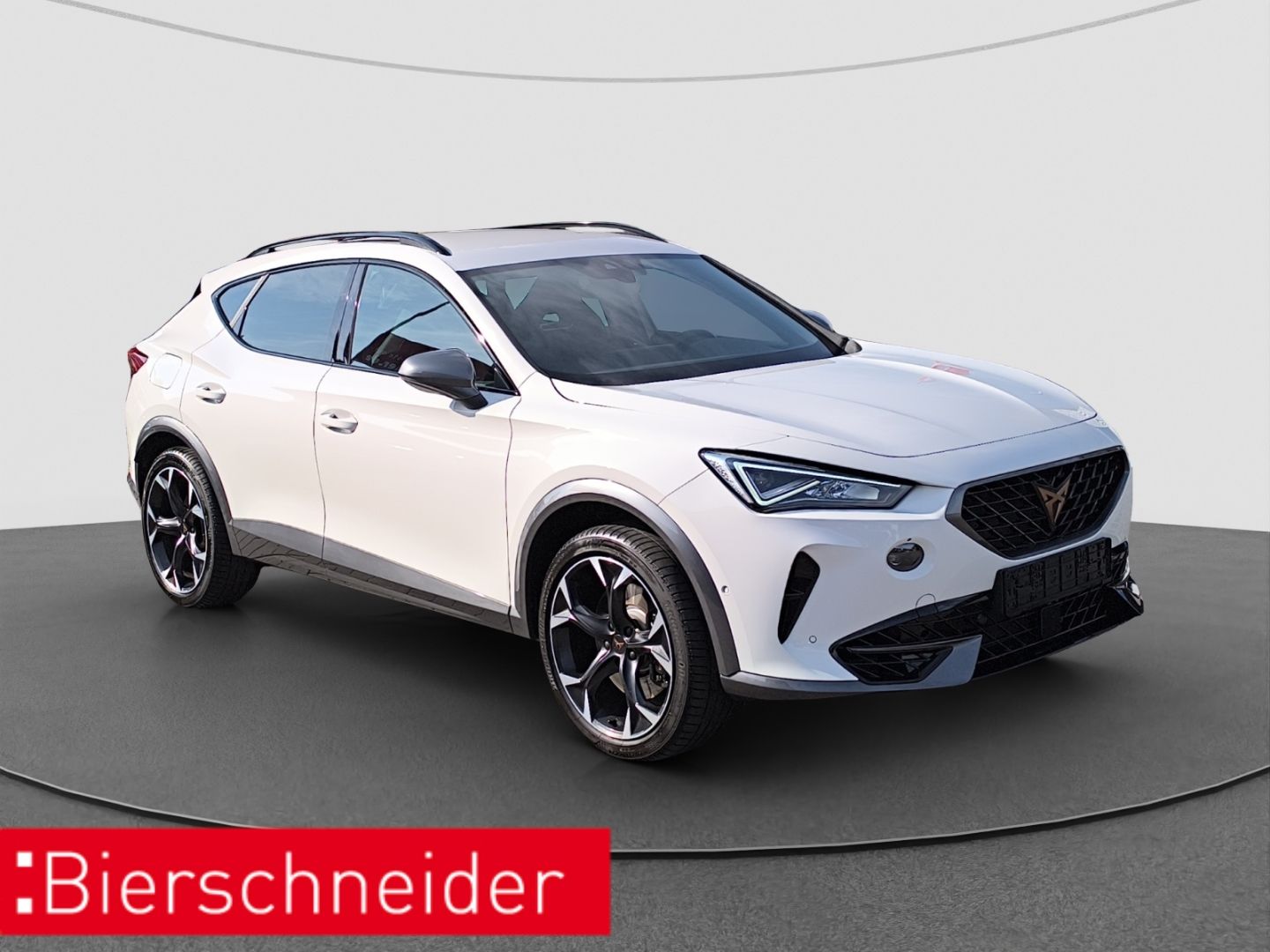Cupra Formentor 2.0 TSI DSG 4Drive VZ AHK LED NAVI imagem 3