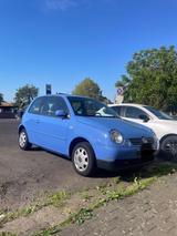 Volkswagen Lupo 1.0 BASIS Basis - VW Lupo Gebrauchtwagen
