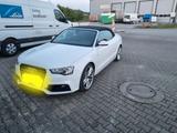 Audi A5 3.0 TDI 180kW S tr. quat. Cabriolet -