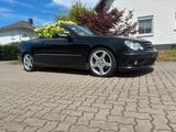 Mercedes-Benz CLK 280 Cabrio AMG / AVANTGARDE - schwarze Mercedes-Benz CLK 280