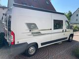 Knaus Sehr schöner und gepflegter BoxStar 600 Ducato - Knaus Kastenwagen