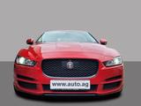 Jaguar XE 25d Portfolio AWD 6 Pakete*360° Kamera - Jaguar XE Gebrauchtwagen