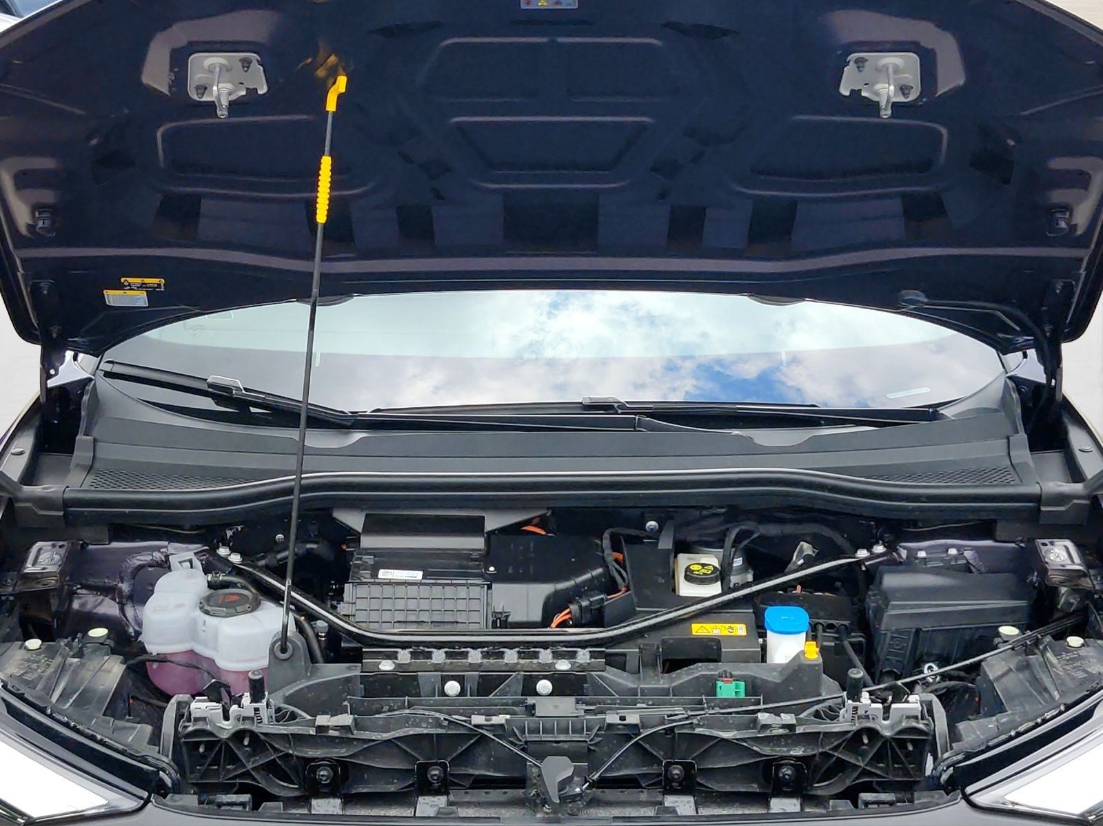 Audi Q4 e-tron - Bild 19