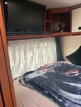 Morelo LOFT  HBX77 - Offers