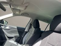 Skoda Kamiq - Vorschau Bild 17