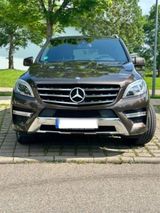 Mercedes-Benz Mercedes Benz ML 250 BlueTec AMG Line*BiXe... - aus 2012: Mercedes Ml