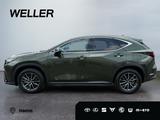Lexus NX 350h E-FOUR Executive Line *LED*HUD*360°*Pano - Lexus Gebrauchtwagen in Hannover