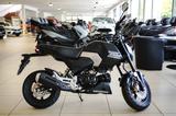 Honda MSX125 Grom -SOFORT VERFÜGBAR- - Honda MSX125 Grom