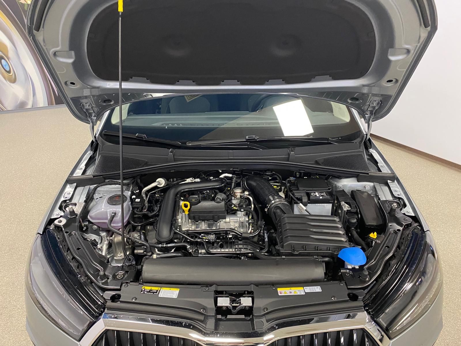 Fahrzeugabbildung SKODA Fabia 1.0 TSI+Garantie 2031+RüKAMERA+ALU+PDC+