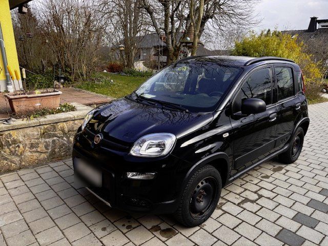 Image of Fiat Panda