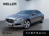 Jaguar XF 20d AWD Automatik Portfolio *CAM*Leder*CarPla - Jaguar XF