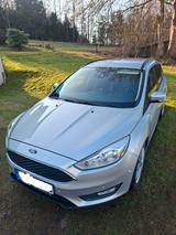 Ford Focus 1.5 TDCi Aut.|Busin.|AHK|Sitzhzg.|HU08/26 - Ford Focus: 2.5