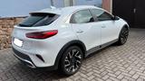 Kia XCeed 1.5 T-GDI Spirit - Kia XCeed Gebrauchtwagen in Dresden