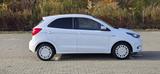 Ford Ka/Ka+ 1,2l White NEUE ZAHNRIEMEN - Ford Ka/Ka+ White