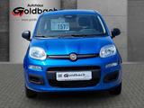 Fiat Panda MY25 1.0*Klima|Tempomat|Bluetooth|PDC* - Fiat Panda in Rostock