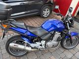 Honda CBF500: gepflegt, 35.835 km, Topcase - Angebote