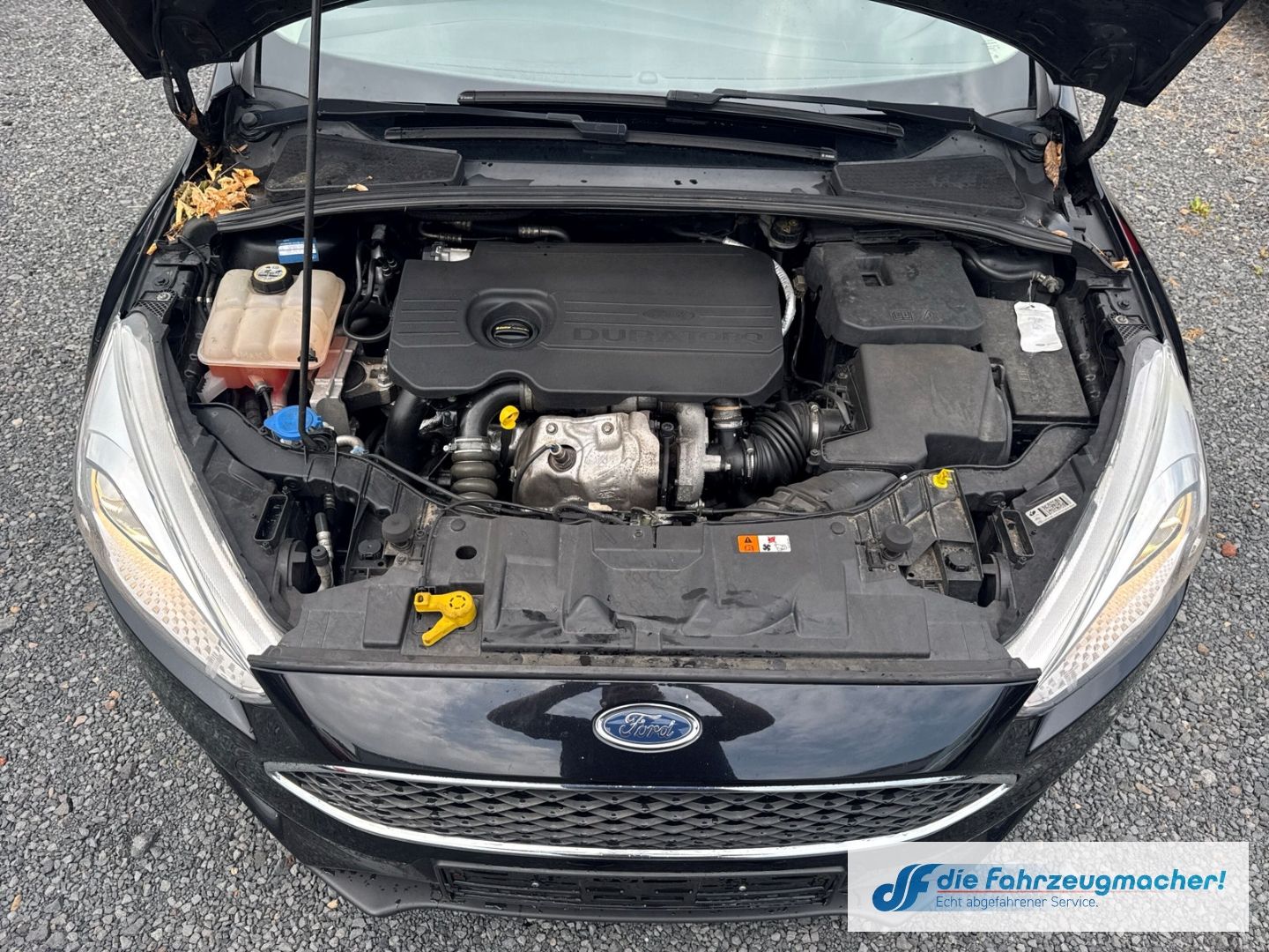Fahrzeugabbildung Ford Focus Business Navi SHZ LenkradHZG *1502 *EXPORT