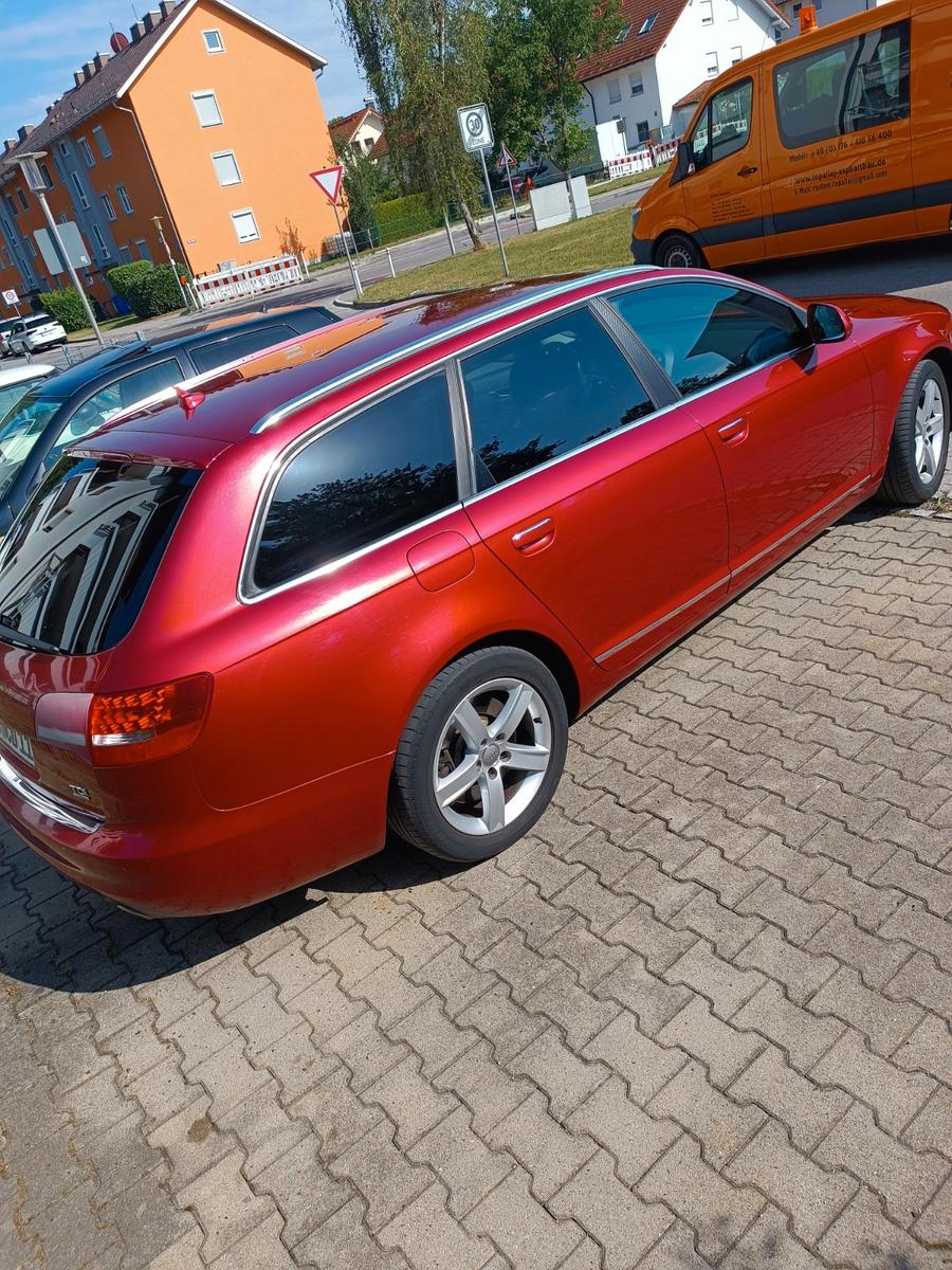Audi Quattro 2010 — вигляд ззаду