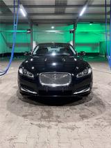 Jaguar XF 2,2L - gebrauchte Jaguar XF aus dem Jahr 2013