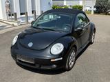 Volkswagen New Beetle Cabriolet 1.6 - VW New Beetle von 2006
