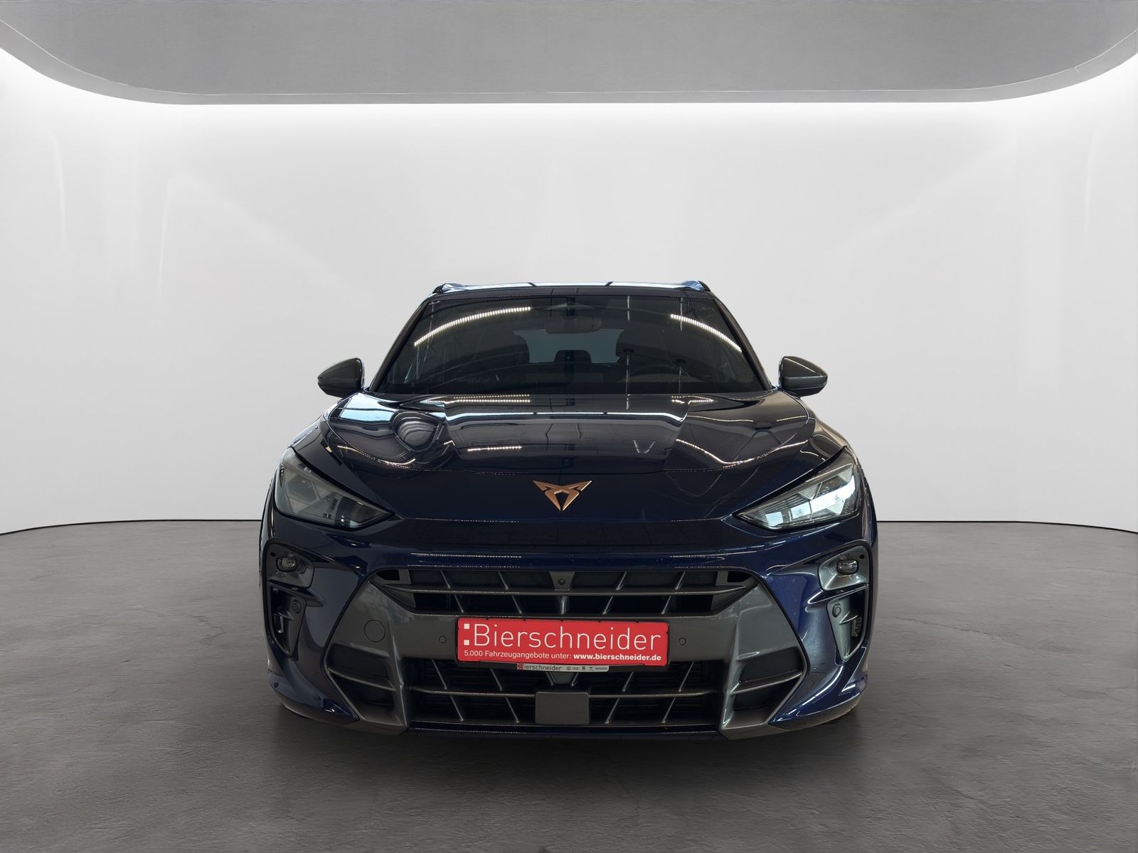 Cupra Terramar - Bild 5