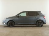 Skoda Fabia 1.0 TSI Monte Carlo *Pano*LED*PDC*SHZ* - Skoda Fabia in Hamburg