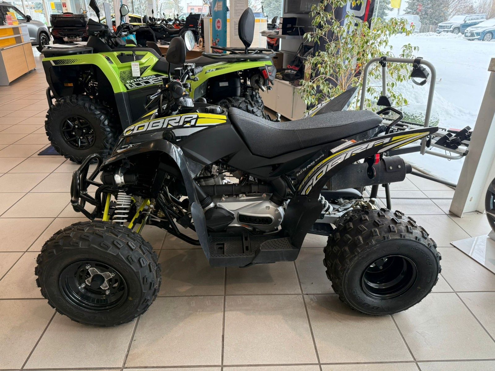 Fahrzeugabbildung Aeon Cobra 422 SX