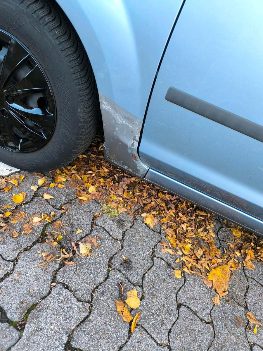 Ford Focus 2006 — photo 5