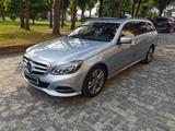 Mercedes-Benz E 220 BlueTEC BE T Edition AVANTG. Auto. Edi... - : Schweiz