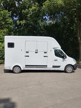 Renault Master Transporter für 2 Pferde - Tier- & Pferdetransport für 2 Pferde