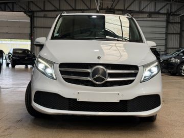 Mercedes V 300 - 2