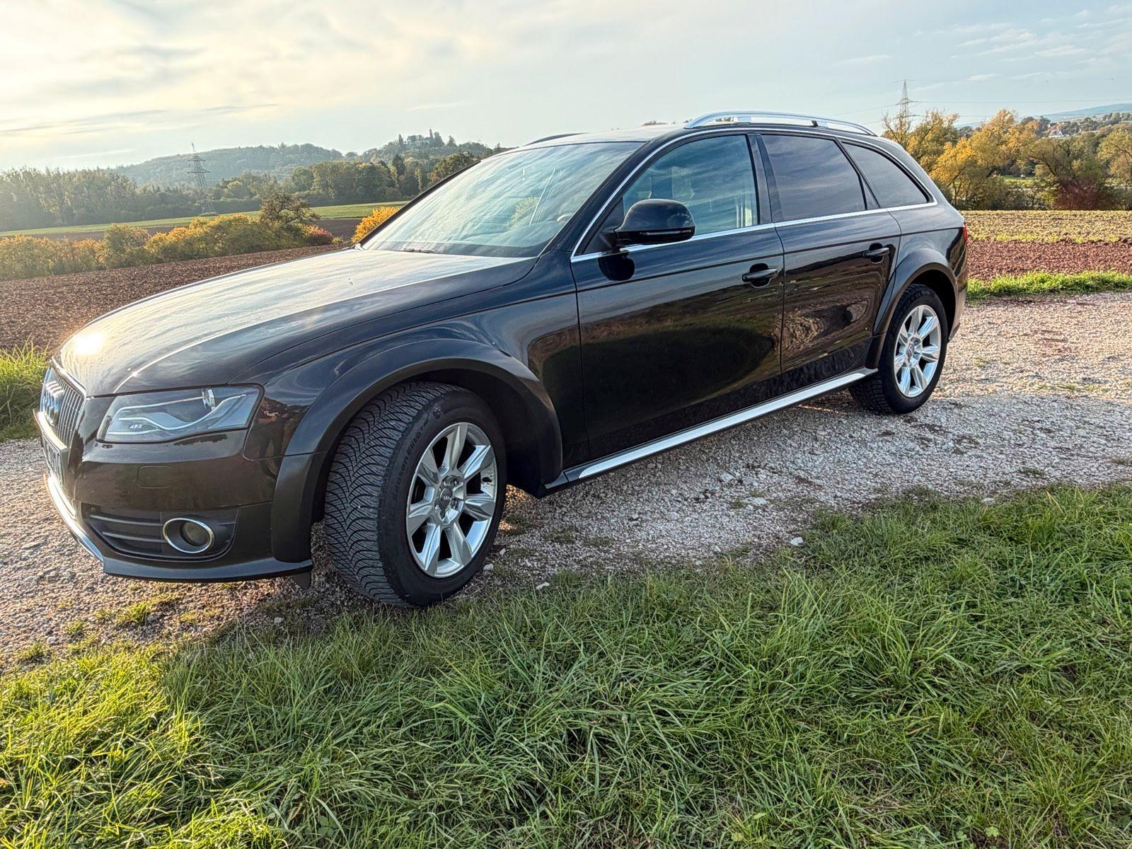 Audi A4 ALLROAD 2010 — вигляд ззаду