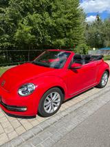 Volkswagen Beetle 1.2 TSI 50's BMT Cabriolet 50's BlueM... - Volkswagen Beetle aus 2013