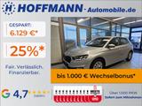 Skoda Fabia Selection Climatr,Kamera,Sitzhzg,Temp.,Alu