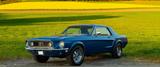 Ford Mustang - Ford Mustang Gebrauchtwagen in Bielefeld