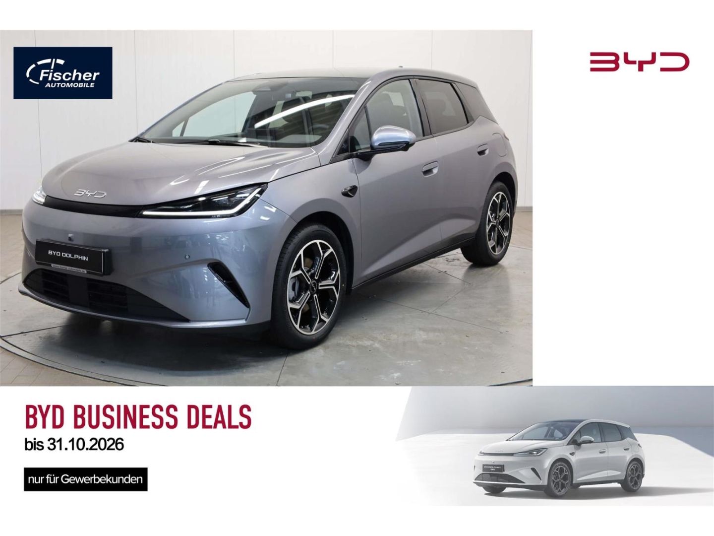 BYD DOLPHIN