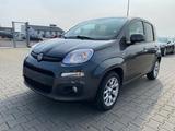 Fiat Panda Lounge - gebrauchte Fiat Panda aus dem Jahr 2017