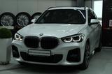 BMW X1 xDrive25e M Sport,Panor.Kamera - BMW X1 in Oldenburg