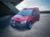 Volkswagen Caddy Kasten 2.0 l TDI EU6 75 kW 5-Gang - Tier-/Pferdetransport 7 5 t