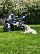 BMW S1000RR HP4 Competition | LIEFERUNG MÖGLICH! - Angebote