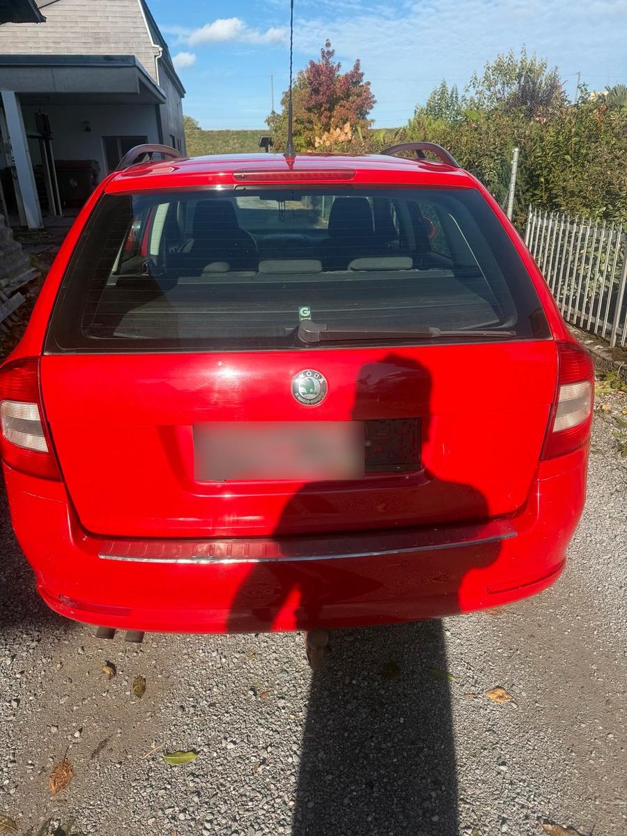 Volkswagen Polo 2010 — photo 7