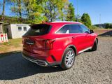 Kia Sorento 1.6 T-GDI Plug-in Hybrid AWD Platinu... - rote Kia Sorento