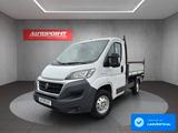 Fiat Ducato 250 Facelift Dreiseitenkipper mit AHK - Fiat Fahrgestell Ducato