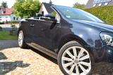 Volkswagen Golf 1.4 TSI DSG Cabriolet - - Volkswagen Golf aus 2012: Cabrio