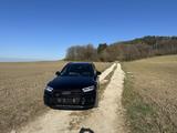 Audi SQ5 TDI tiptronic quattro - STHZG-B&O-Panoramada - gebrauchte Audi SQ5 aus dem Jahr 2019