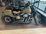 Harley-Davidson Cross Bones ( FLSTSB)