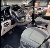 Mercedes-Benz Marco Polo Edition*V220D* Küche * - Mercedes-Benz Marco Polo