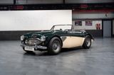 Austin Healey 3000 MK3 Stefan Sautter Umbau - Austin Healey: 3000 Mk